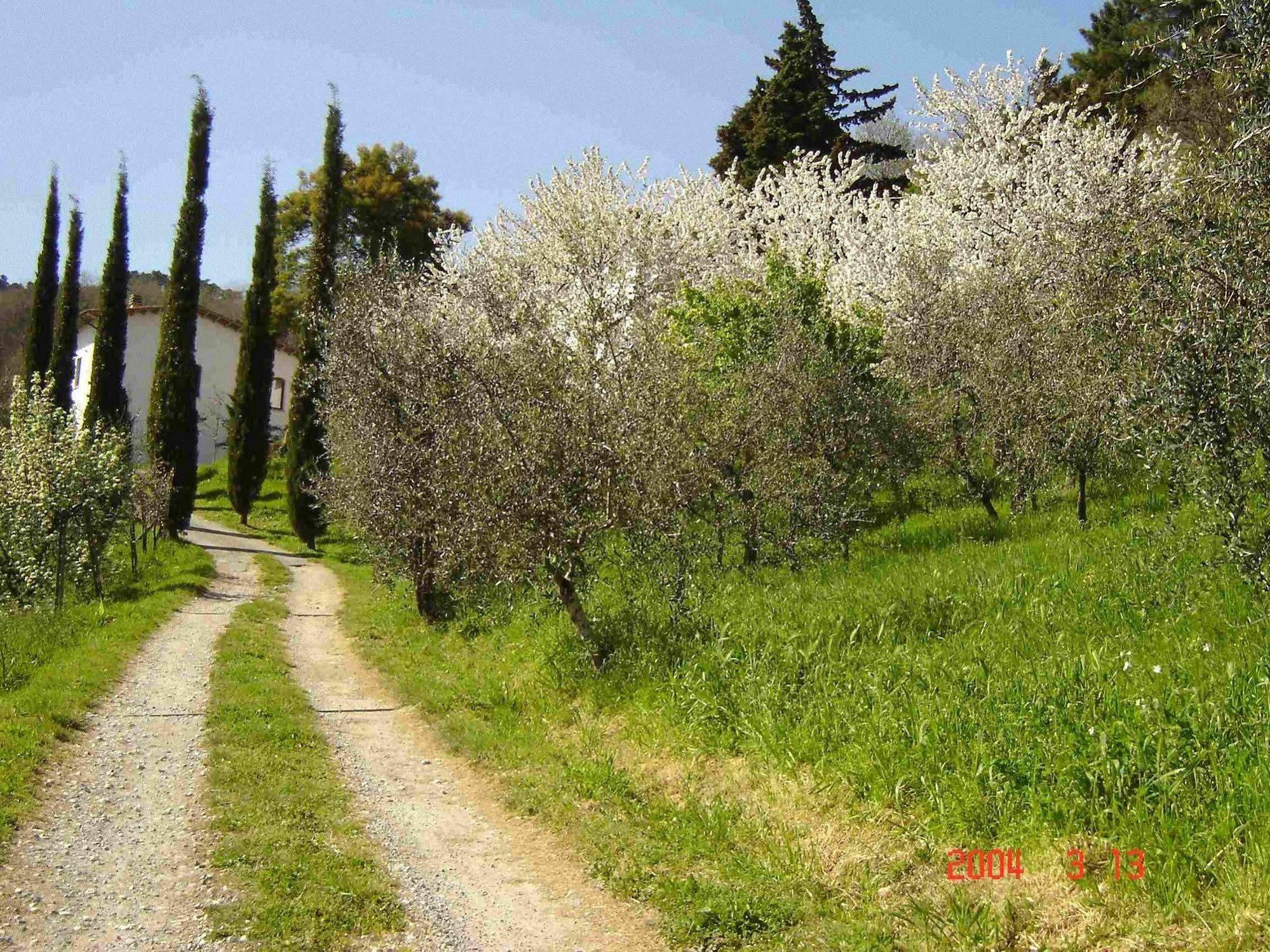 Podere"Sulle Soglie Del Bosco" Appartament And Rooms Pescia Exterior foto